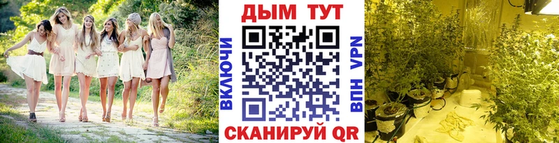 Где купить Зуевка Псилоцибиновые грибы  Меф мяу мяу  Бошки Шишки  АМФ  Cocaine  A PVP 