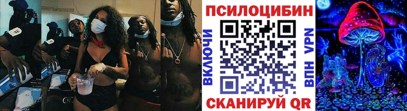 blacksprut tor  Зуевка  Псилоцибиновые грибы Psilocybine cubensis  цена  